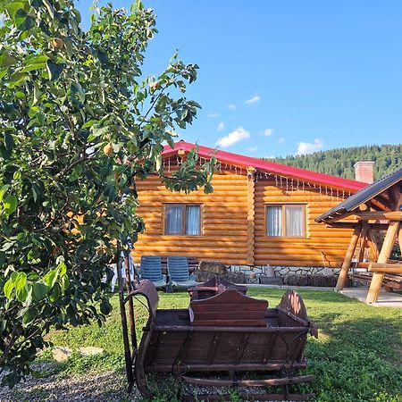 Cabana Alesia, Relaxare La Poalele Raraului Moldvahosszúmező Kültér fotó