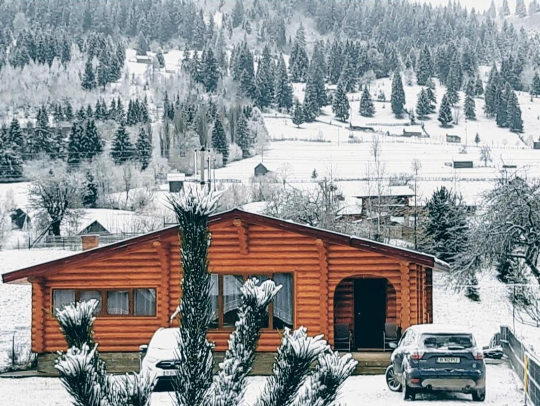 Cabana Alesia, Relaxare La Poalele Raraului Moldvahosszúmező Kültér fotó