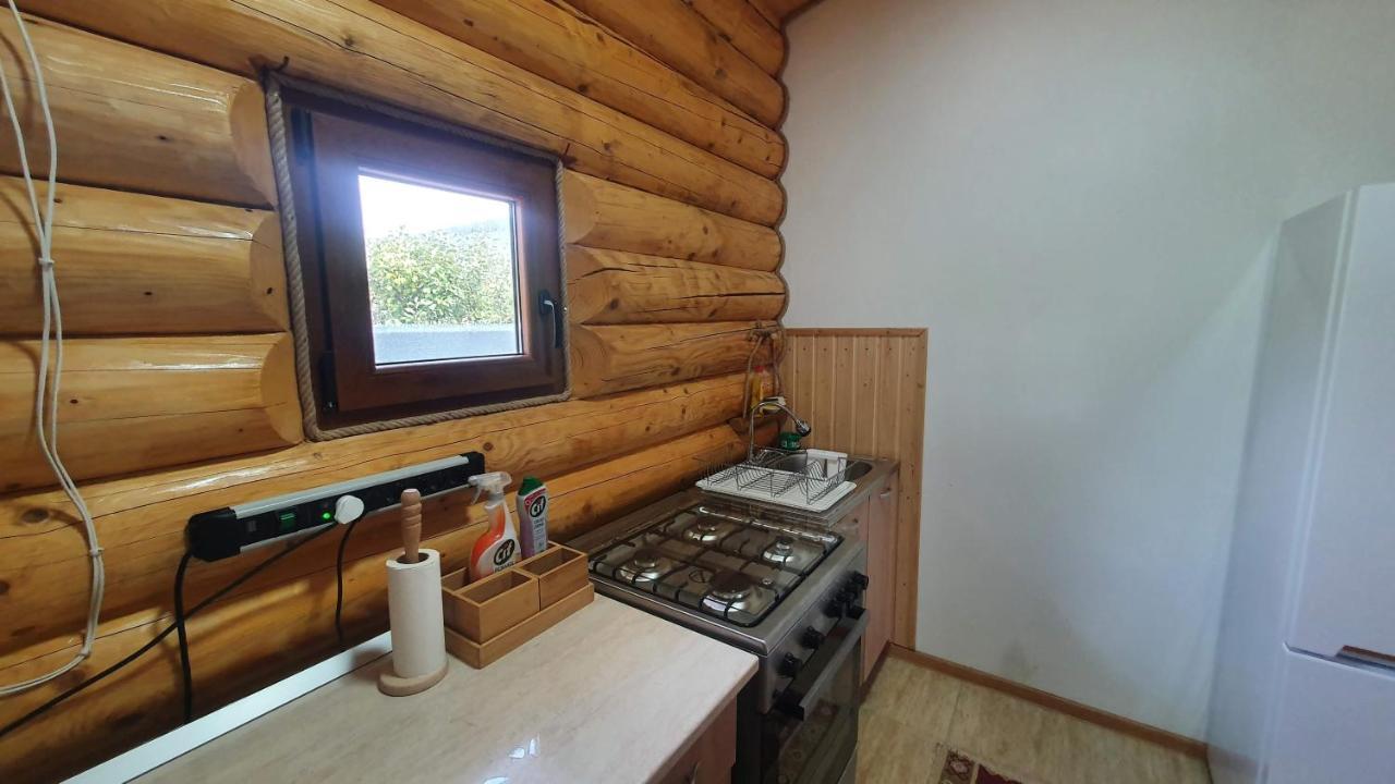 Cabana Alesia, Relaxare La Poalele Raraului Moldvahosszúmező Kültér fotó