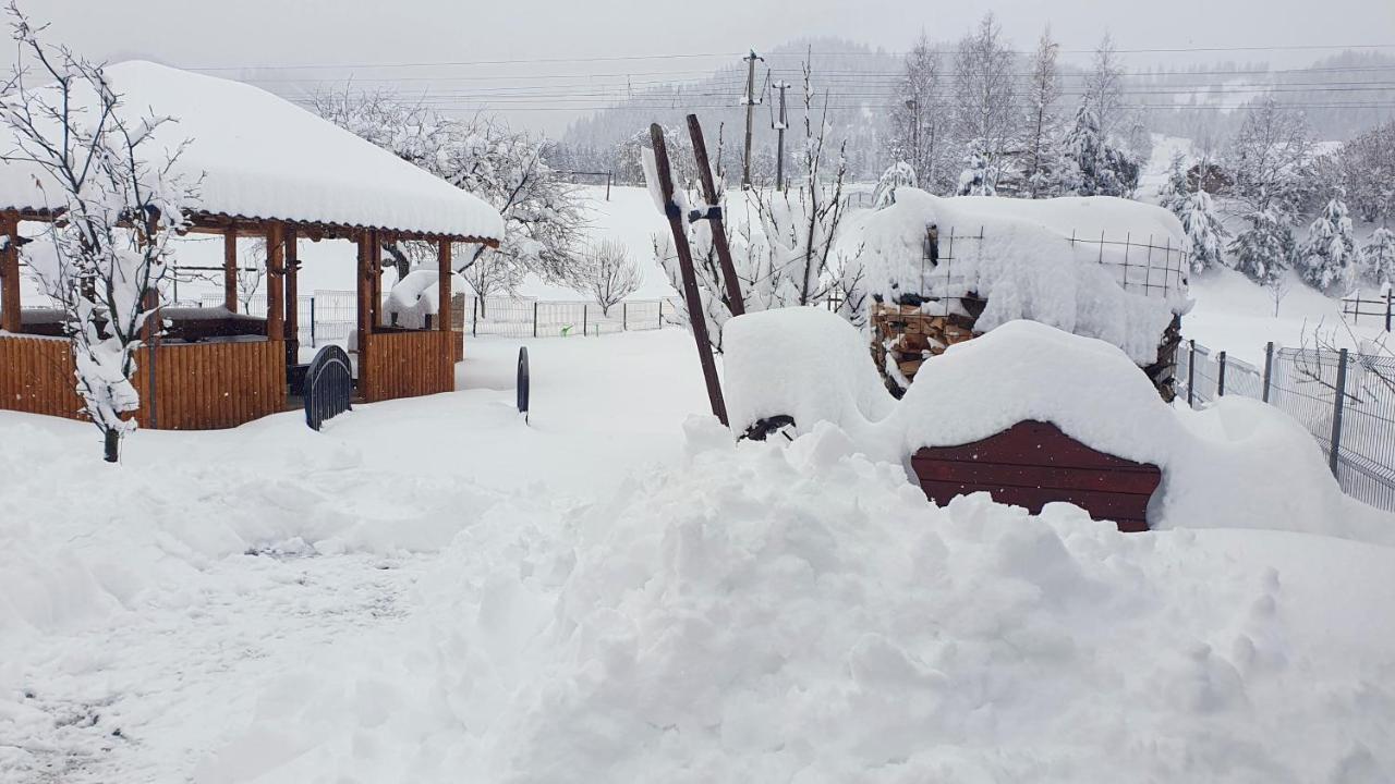 Cabana Alesia, Relaxare La Poalele Raraului Moldvahosszúmező Kültér fotó