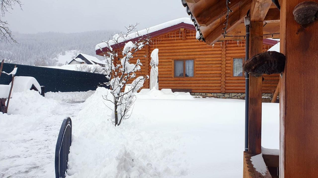 Cabana Alesia, Relaxare La Poalele Raraului Moldvahosszúmező Kültér fotó